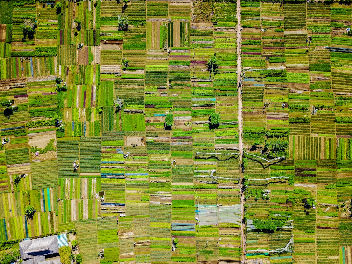 Aerial view of precision-monitored crop fields